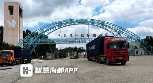 集拼出海，技術(shù)貿(mào)易雙驅(qū)動(dòng) 前7個(gè)月泉州市保稅物流進(jìn)出口突破百億大關(guān)